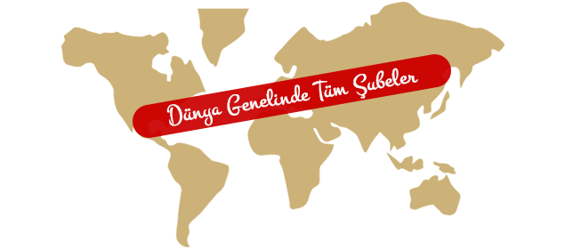 dünya haritası