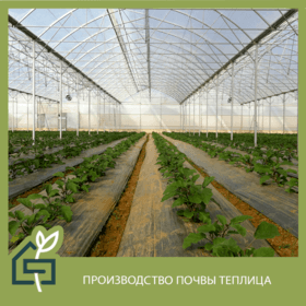 topraklı üretim serası-RUSÇA