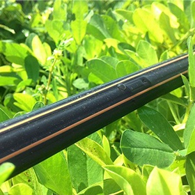 greendrip8